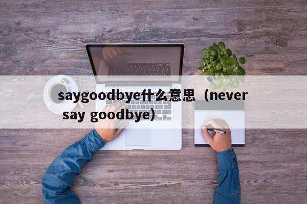 saygoodbye什么意思（never say goodbye）
