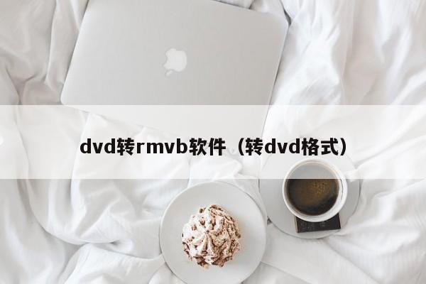 dvd转rmvb软件（转dvd格式）
